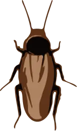 Illustration of a surinam cockroach