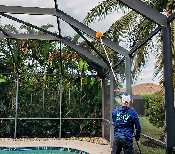 Pest control worker on a pool area