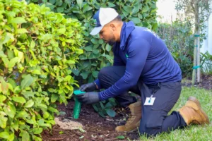 Pest control technician installing a termite bait station to help prevent spring pest infestations around a home's foundation.