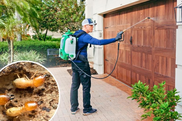 Image for The Hidden Threat: Everything Homeowners Need to Know About Termite Prevention